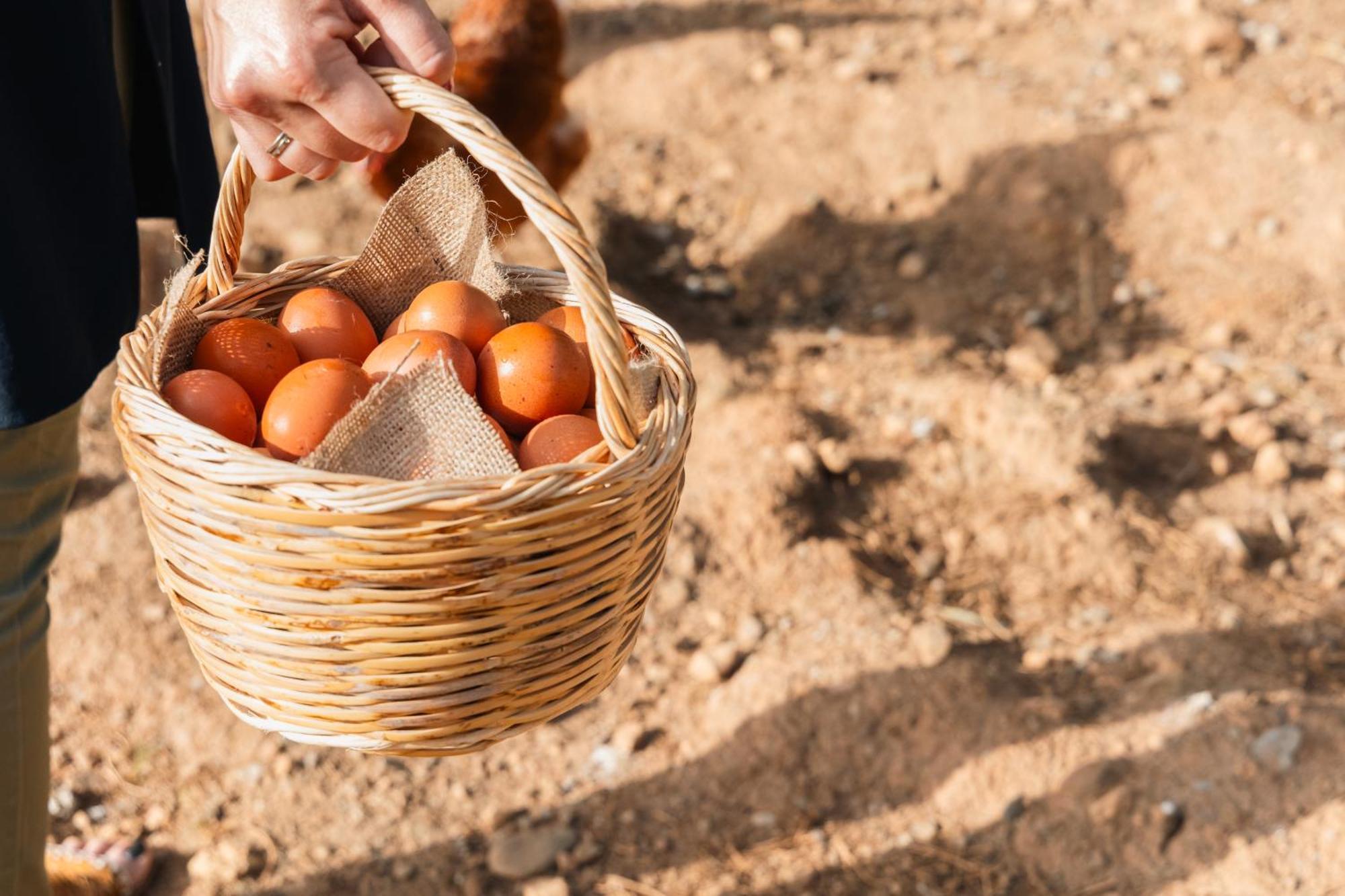 فندق كينستيرنا Monemvasía المظهر الخارجي الصورة